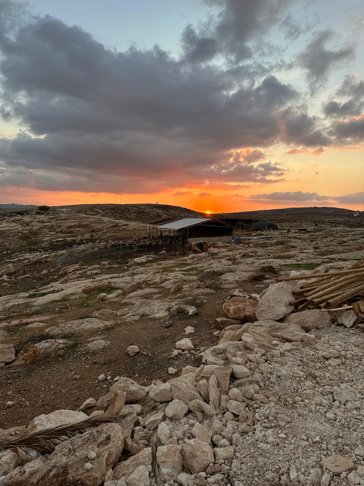 חנינה פרידמן (1)