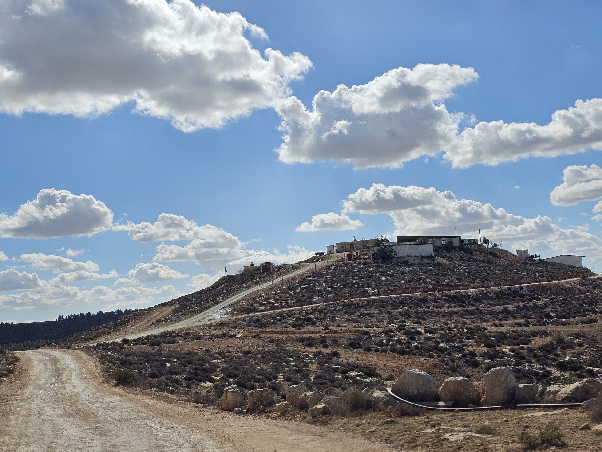 ספיר לוי מיתרים (7)