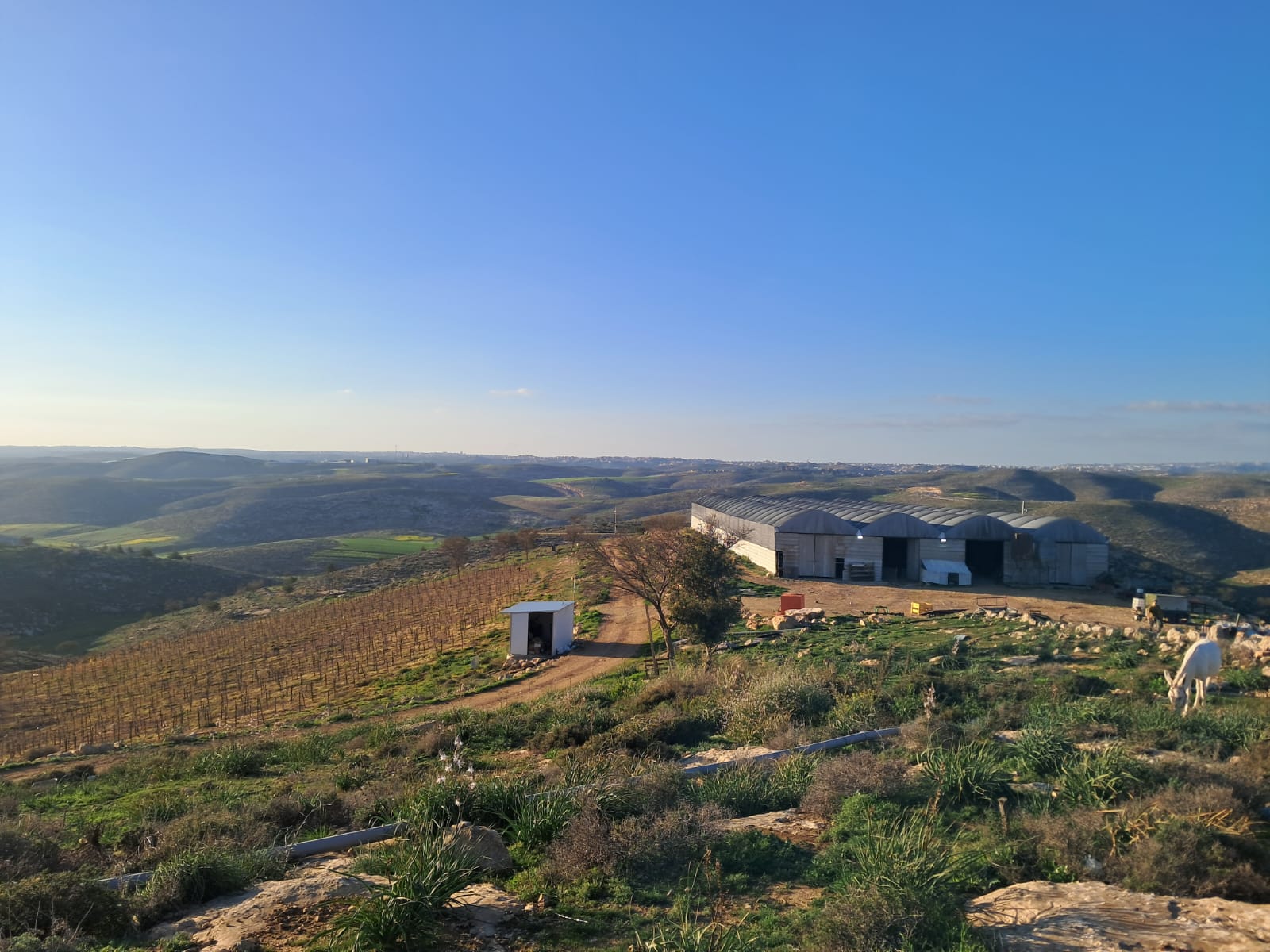 IMG-20260204-WA0146 - ישראל ומוריה קפלן