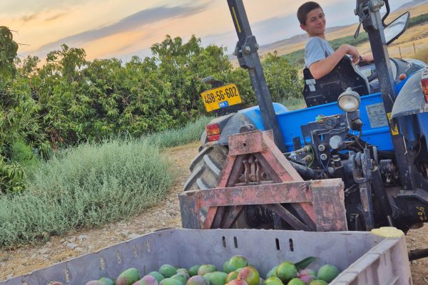 20240715_060502 - נעמה עתידיה