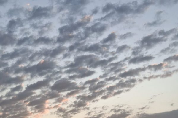 חנינה פרידמן