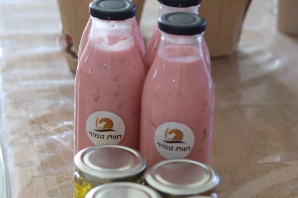 IMG-20260128-WA0049 - סיגלית טמיר