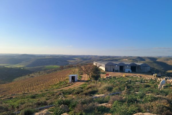 IMG-20260204-WA0146 - ישראל ומוריה קפלן