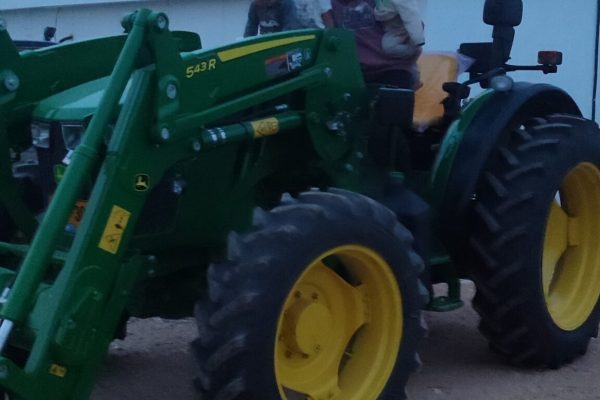 IMG_20260212_173919 - סיגלית טמיר