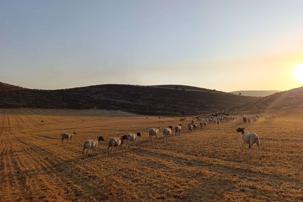 WhatsApp Image 2025-11-16 at 12.41.50 (1)