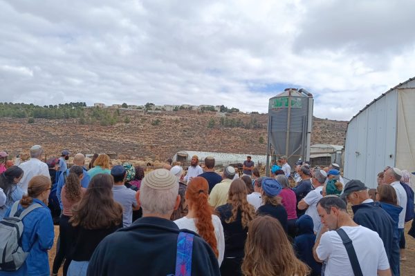 WhatsApp Image 2025-11-16 at 12.41.51 (1)