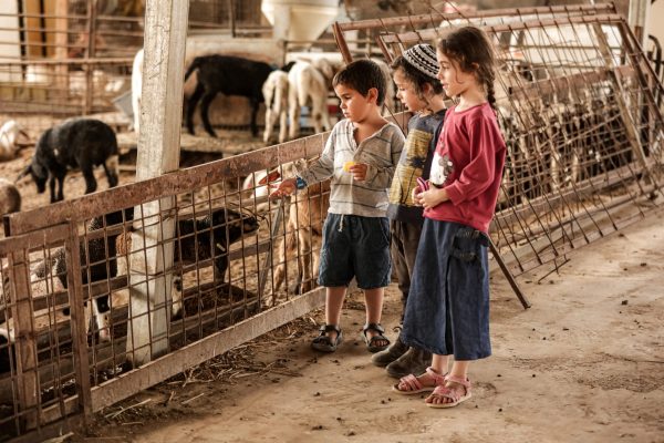 אורה לילינטל1