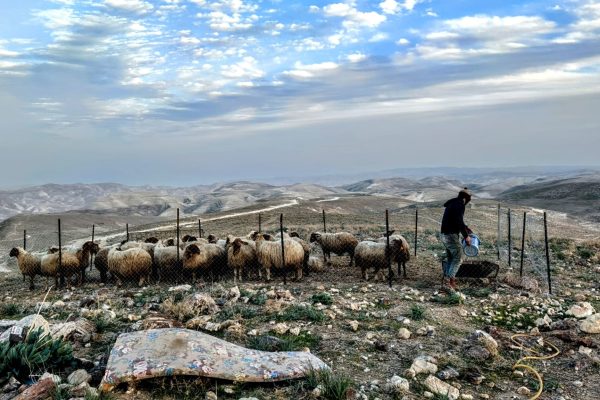 אלישע טורנר זוהר יהודה (10)