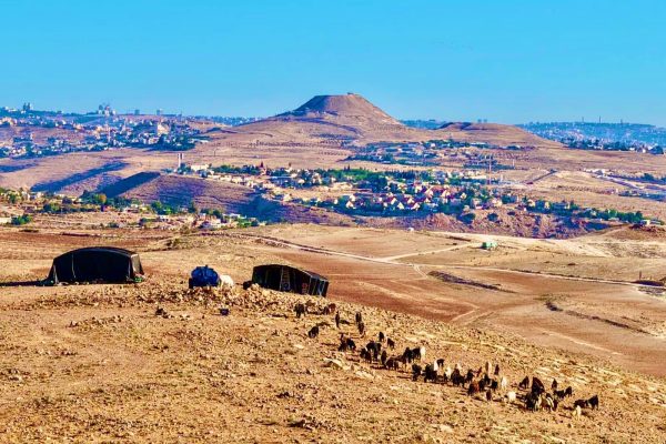 אלישע טורנר זוהר יהודה (11)