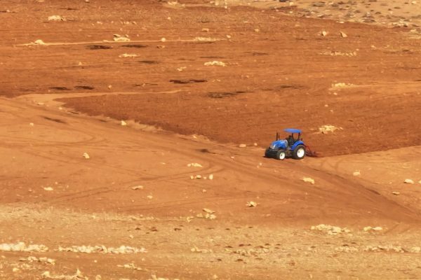 אלישע טורנר זוהר יהודה (12)