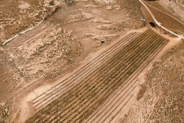 אלישע טורנר זוהר יהודה (3)