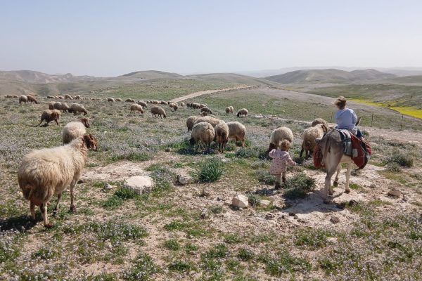 אלישע טורנר זוהר יהודה (4)