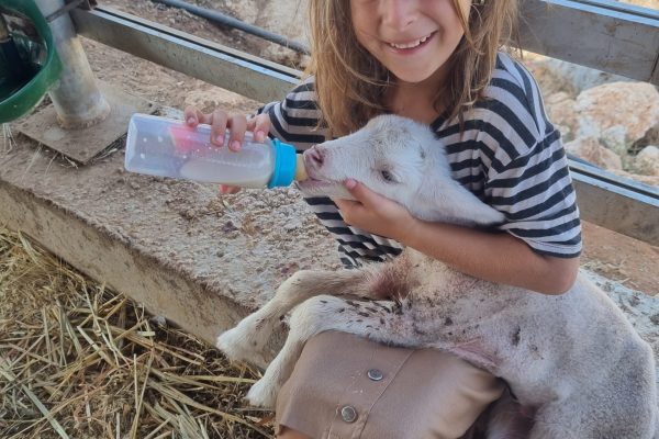 גאולה דהן (1)