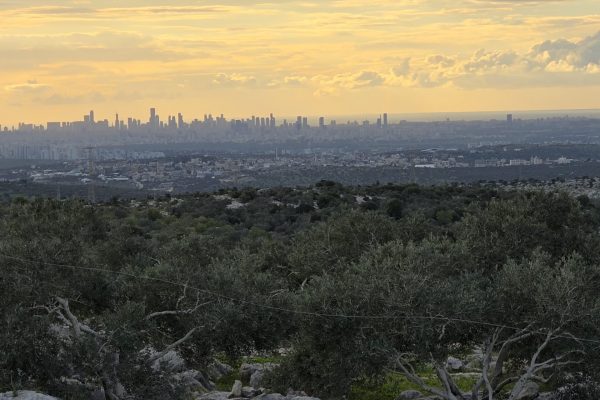 גאולה דהן (5)