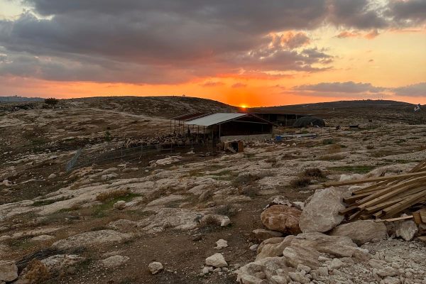 חנינה פרידמן (1)
