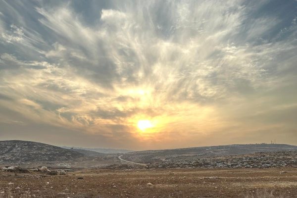 חנינה פרידמן (10)