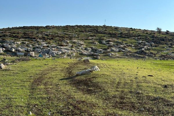 חנינה פרידמן (3)