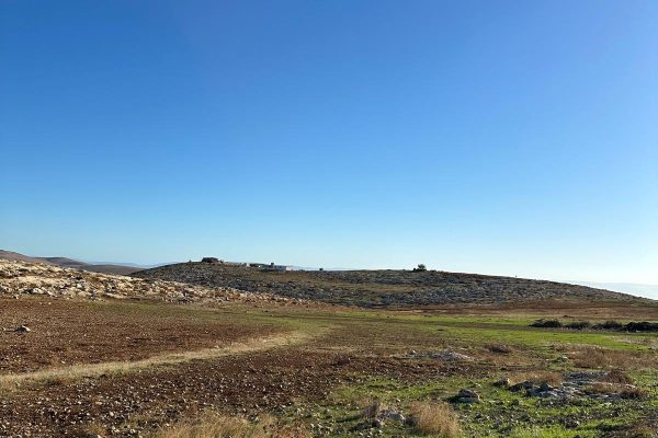 חנינה פרידמן (4)