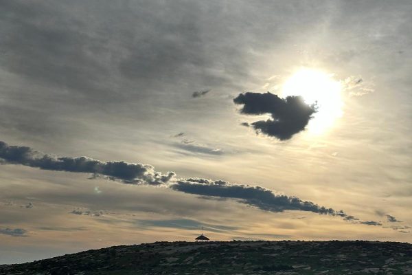 חנינה פרידמן (5)