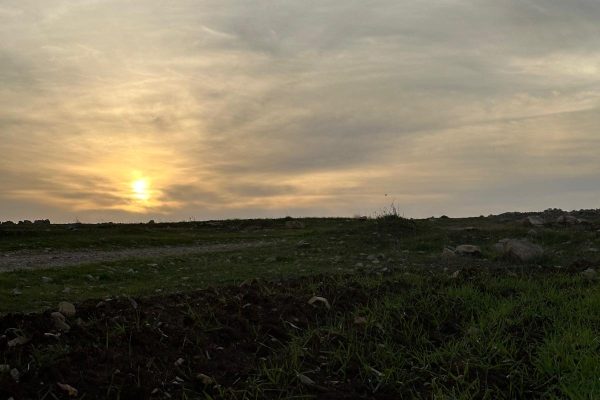 חנינה פרידמן (6)