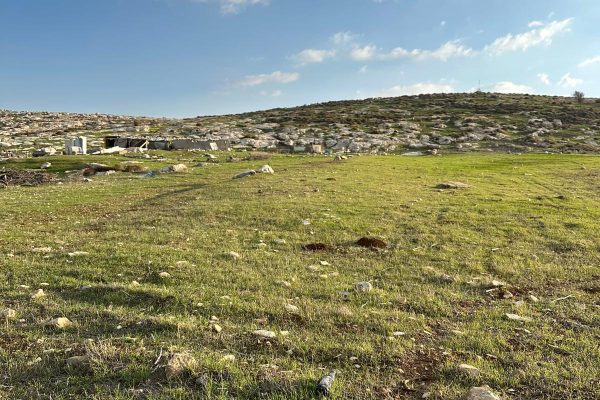 חנינה פרידמן (8)