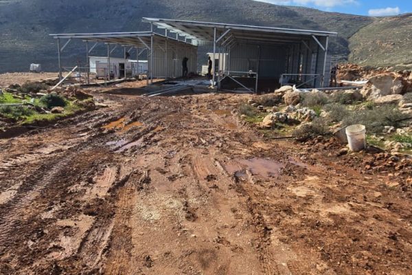 מוריה ואיתן מרגלית (5)