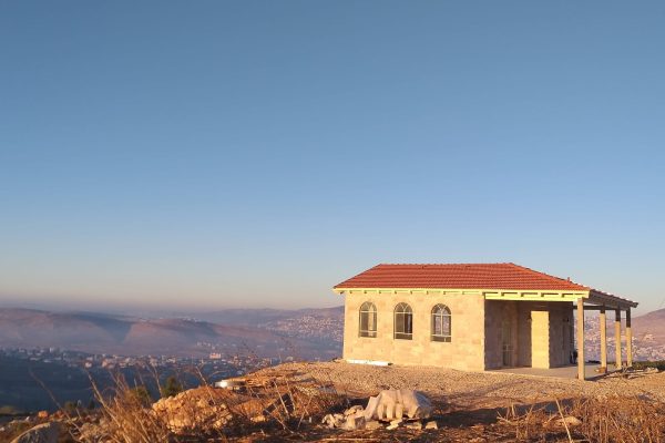 נתי שולב (10)