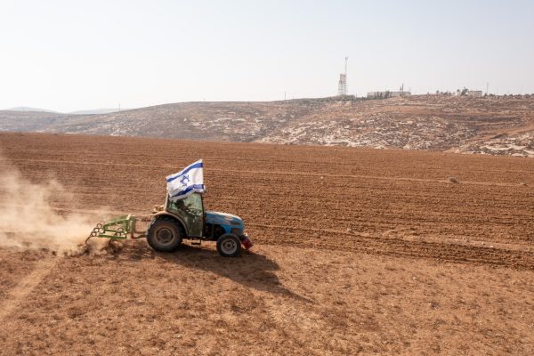 ספיר לוי מיתרים (1)