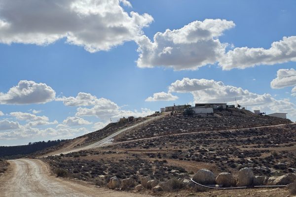 ספיר לוי מיתרים (7)