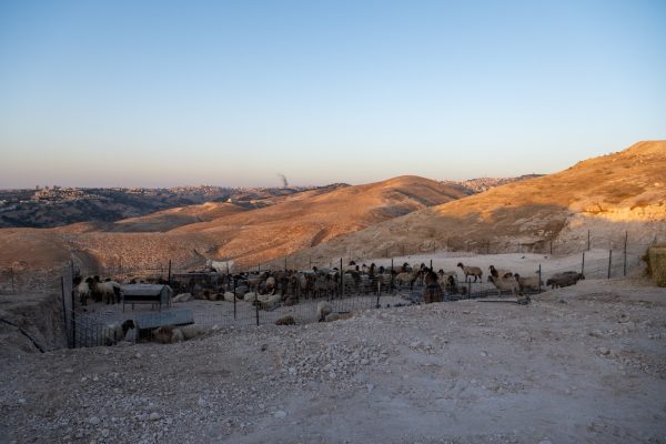 קדם ציון ינון ותכלת כהן (2)