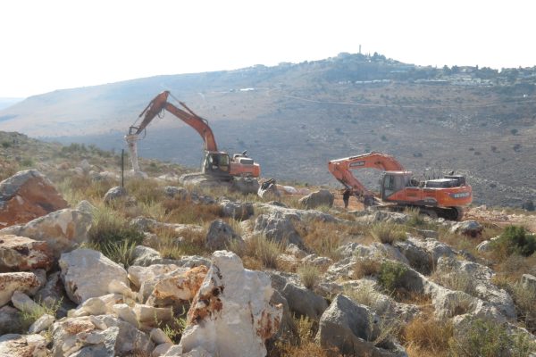 רעות וחוני בירן (1)