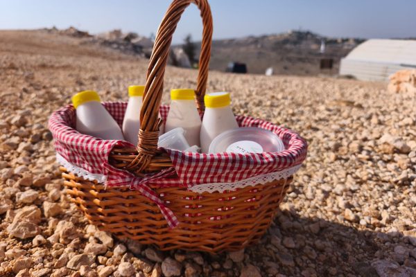 רעות וחוני בירן (7)