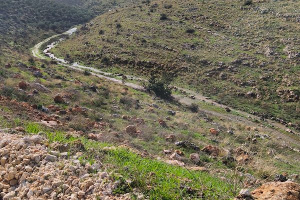 רעות וחוני בירן (8)